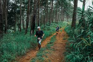 BIB: 
                            <button type="button" onclick="openModal(25657227)" class="btn btn-primary btn-sm float-right btn-popup" data-toggle="modal" data-target=".modal-high-quality">
                        <i class="fas fa-shopping-cart"></i> Add to Cart
                    </button>
                                            <button type="button" onclick="isThisMe(25657227, true)" class="btn btn-success btn-sm float-right btn-popup btn-isme hidden" data-toggle="tooltip" data-placement="bottom" title="นี่คือรูปของคุณใช่ไหม คลิกที่นี่เพื่อเอาเข้าอัลบั้ม">
                        <i class="fas fa-plus"></i> Add to album
                    </button>
                    <button type="button" onclick="isThisMe(25657227, false)" class="btn btn-warning btn-sm float-right btn-popup btn-isnotme hidden">
                        <i class="fas fa-ban"></i> Remove from album
                    </button>